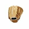 MIZUNO FRANCHISE SERIES PITCHER/OUTFIELD BASEBALL GLOVE 12" -Hot Sale Baseball Gloves Store 312958 F878